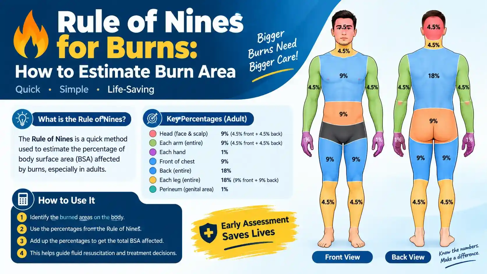 Rule of Nines for Burns article